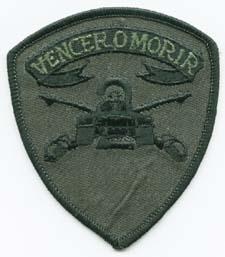 Second AC Assault Detachment Subdued Patch For Durability