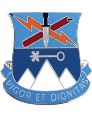 2nd Brigade 10th Mountain Special Troops Battalion Unit Crest - Saunders Military Insignia