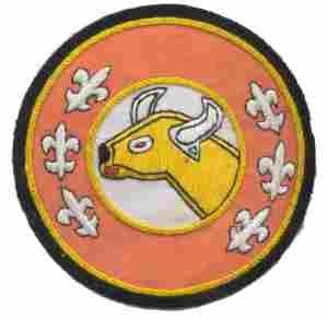 2nd Signal Company Custom made Cloth Patch - Saunders Military Insignia