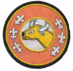 2nd Signal Company Custom made Cloth Patch - Saunders Military Insignia