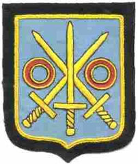 300th Infantry Regiment Custom made Cloth Patch - Saunders Military Insignia