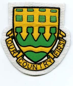30th Military Police Battalion Custom made Cloth Patch