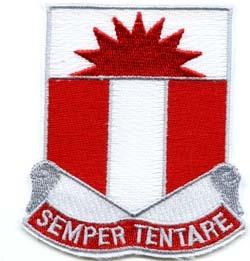 321st Combat Engineer Battalion Patch