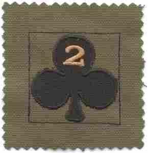327th Infantry 2nd Battalion 101st Airborne, Subdued cloth Helmet Cover