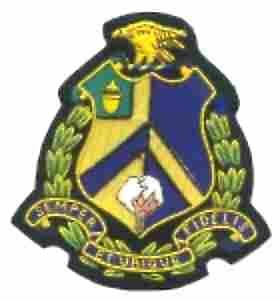 346th Infantry Regiment Patch, Handmade