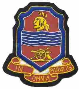 368th Field Battalion Custom made Cloth Patch - Saunders Military Insignia