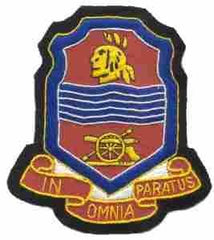 368th Field Battalion Custom made Cloth Patch - Saunders Military Insignia