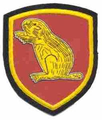369th field Battalion Custom made Cloth Patch - Saunders Military Insignia