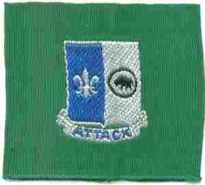 371st Infantry Battalion Patch