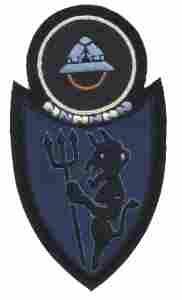 371st Infantry Regiment Custom made Cloth Patch