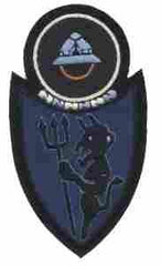 371st Infantry Regiment Custom made Cloth Patch - Saunders Military Insignia