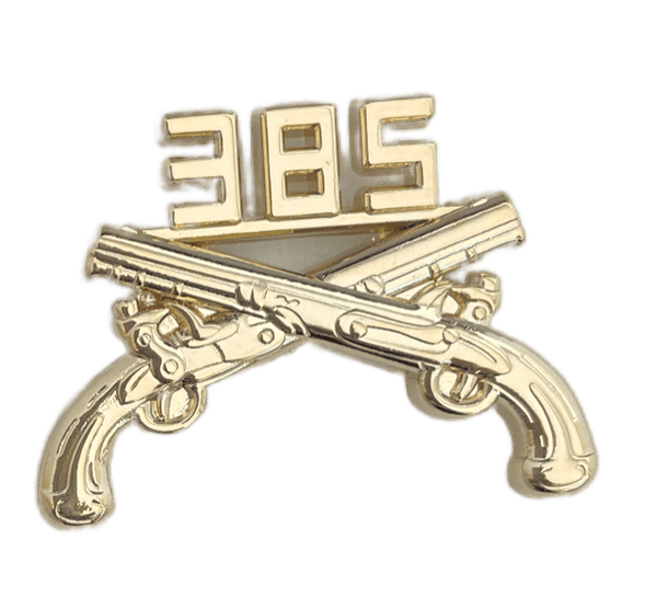 385th Military Police Regimental Branch Of Service Insignia Badge