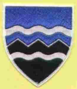 397th Airborne Infantry, Custom made Cloth Patch