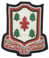 43rd Engineer Battalion Custom made Cloth Patch - Saunders Military Insignia