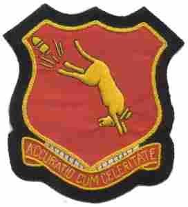45th Field Artillery Battalion Custom made Cloth Patch
