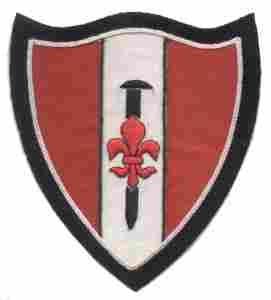 46th Engineer Battalion Custom made Cloth Patch - Saunders Military Insignia