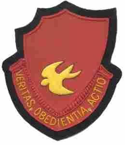 46th Field Artillery Battalion, Custom made Cloth Patch