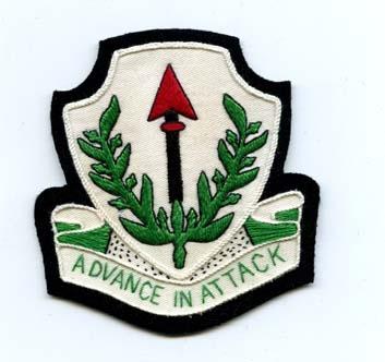 46th Tank Battalion Custom made Cloth Patch