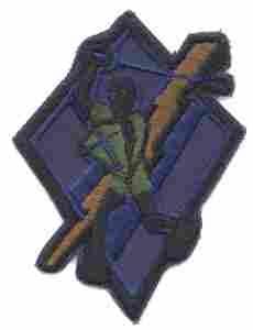 481st Tactical Fighter Training Squadron Subdued Patch