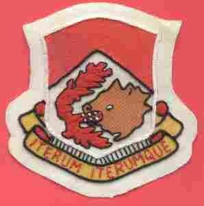 49th Field Artillery Battalion Custom made Cloth Patch