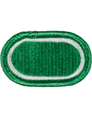 511th Airborne Infantry Oval - Saunders Military Insignia