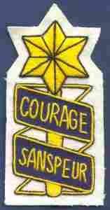 53rd Infantry Custom made Cloth Patch - Saunders Military Insignia