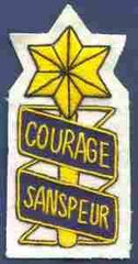 53rd Infantry Custom made Cloth Patch - Saunders Military Insignia