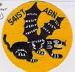 541st Parachute Infantry Patch - Saunders Military Insignia