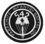 542nd Parachute Infantry Battalion Patch, Handmade