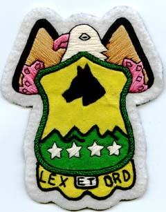 545th Military Police Battalion, Custom made Cloth Patch - Saunders Military Insignia