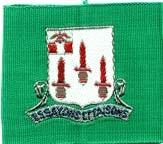 54th Engineer Battalion Patch