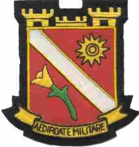 578th Engineer Battalion, Custom made Cloth Patch - Saunders Military Insignia