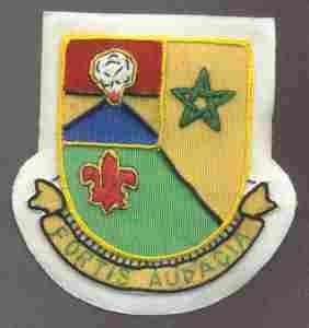 57th Tank Battalion, Custom made Cloth Patch