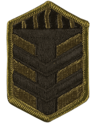 5th Brigade Training Patch, subdued - Saunders Military Insignia