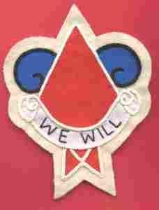 5th Infantry Division NCBU Patch