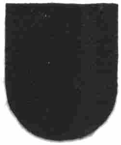 5th Special Forces Group Flash felt