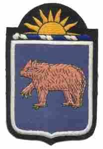 62nd Infantry Regiment, Custom made Cloth Patch