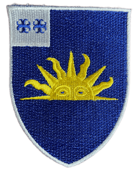 63rd Infantry Regiment custom patch