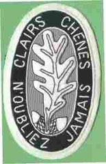 6th Engineer Battalion Custom made Cloth Patch - Saunders Military Insignia