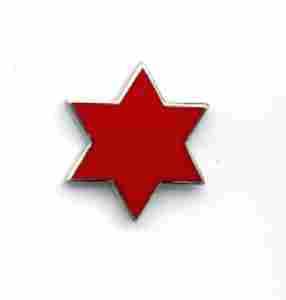 6th Infantry Division Metal hat Pin
