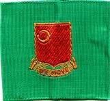 70th Field Artillery Battalion, Patch - Saunders Military Insignia