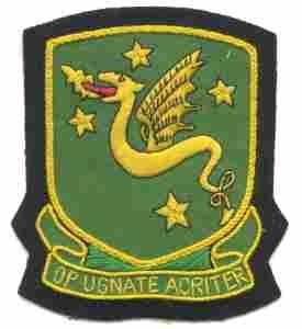 76nd Airborne Tank Custom made Cloth Patch