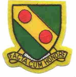 793rd Military Police Battalion, Custom made Cloth Patch