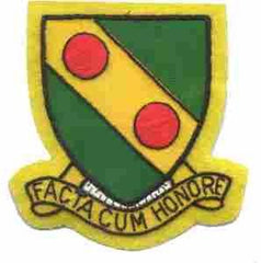 793rd Military Police Battalion, Custom made Cloth Patch - Saunders Military Insignia