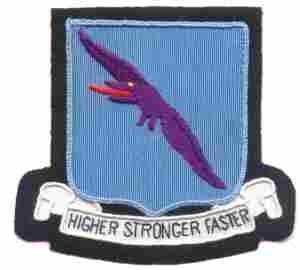 Authentic 92nd Bombardment Group Patch For Aviation History