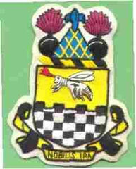 94th Cavalry Reconnaissance Squadron Patch - Saunders Military Insignia