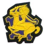 9th Cavalry Regiment Custom made Cloth Patch