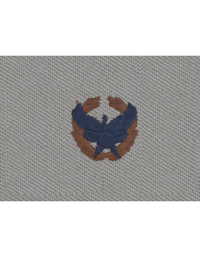 Authentic US Army Commander Badge On Air Force ABU Cloth