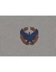 US Army Commander's Badge in Air Force ABU cloth by Saunders Military Insignia