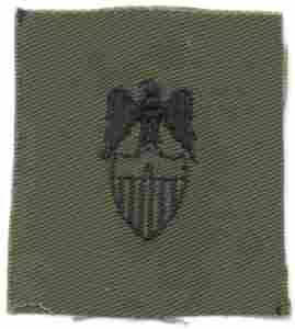 Aide Brigadier General Army Branch of Service insignia - Saunders Military Insignia